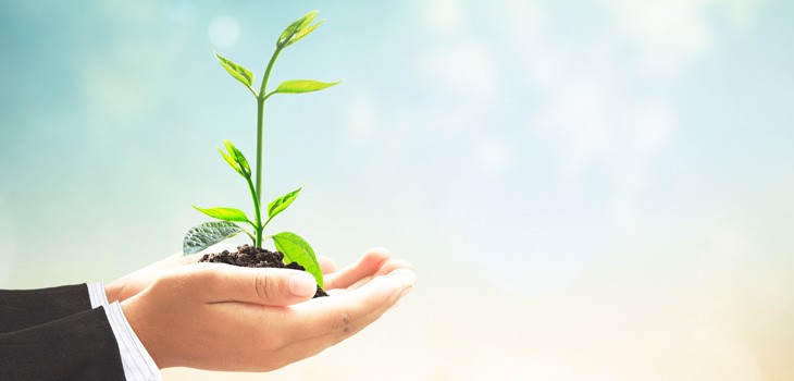 初心者向けマネジメント研修の選び方を解説！基礎から学べる内容やおすすめサービスも紹介