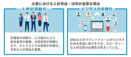 人材育成・活用の解説画像