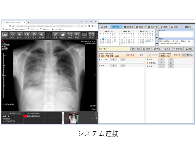 医師協 Zebra for Karte_利用画面サンプル2