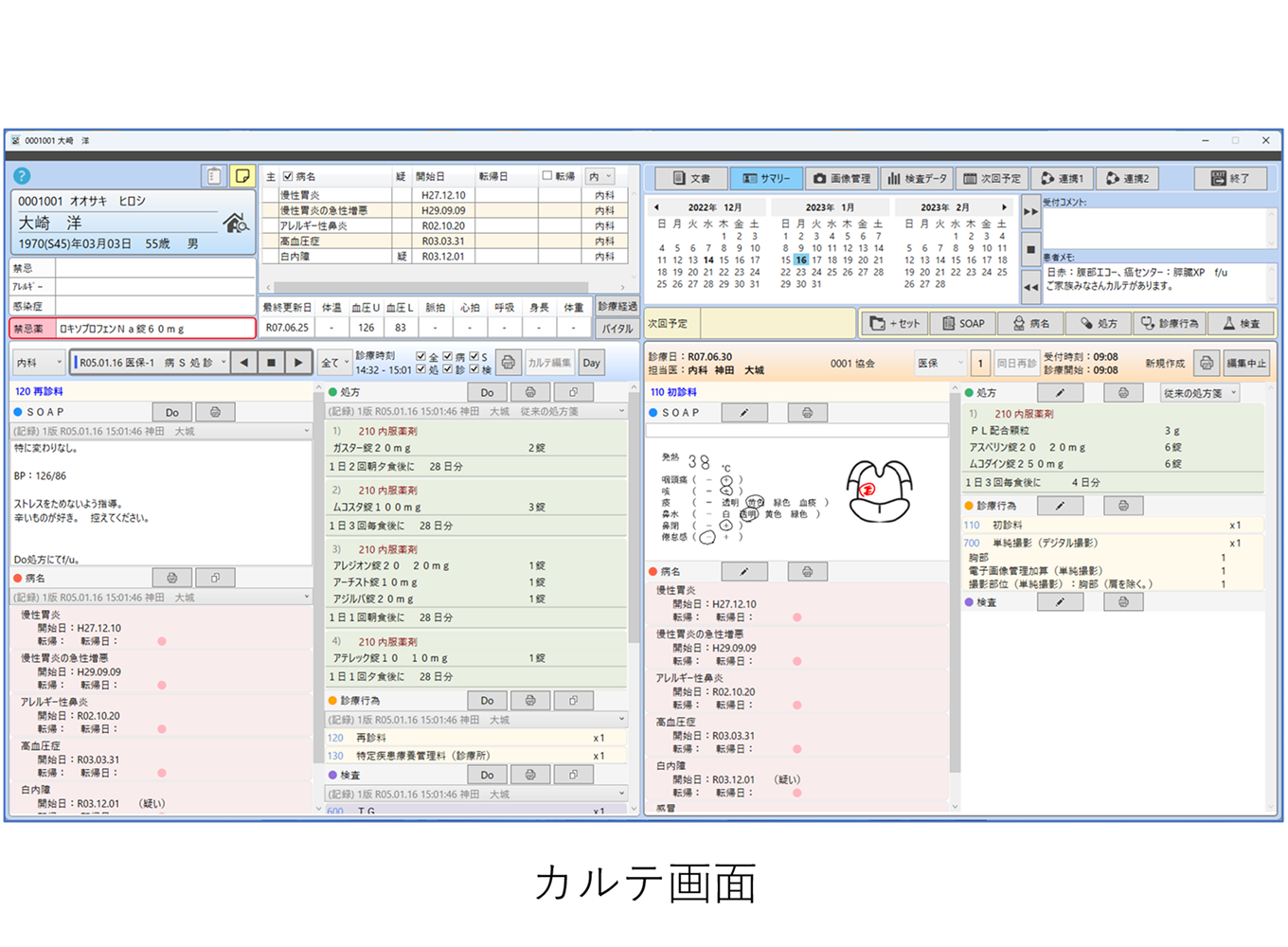医師協 Zebra for Cloud-Karte_利用画面サンプル1