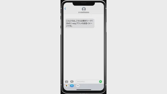 絶対リーチ！RCS / SMS_利用画面サンプル3