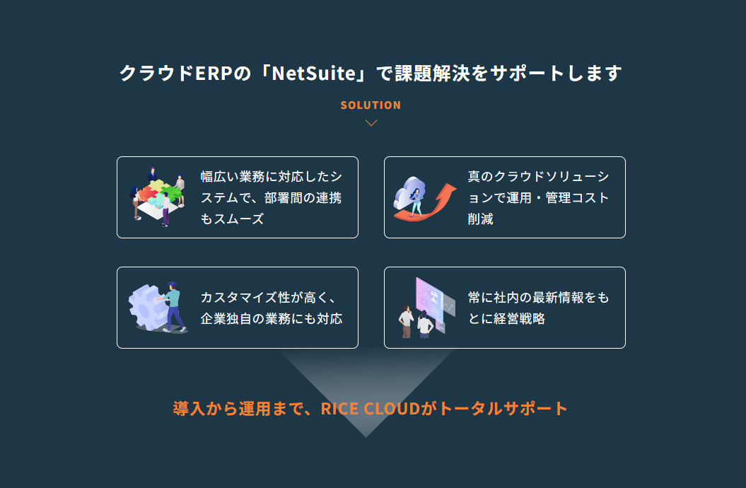 株式会社RICE CLOUDのNetSuite導入支援_利用画面サンプル1